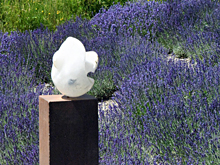 Ausstellung »STEINE« im Rosengarten in Rosenfeld - Bild 1